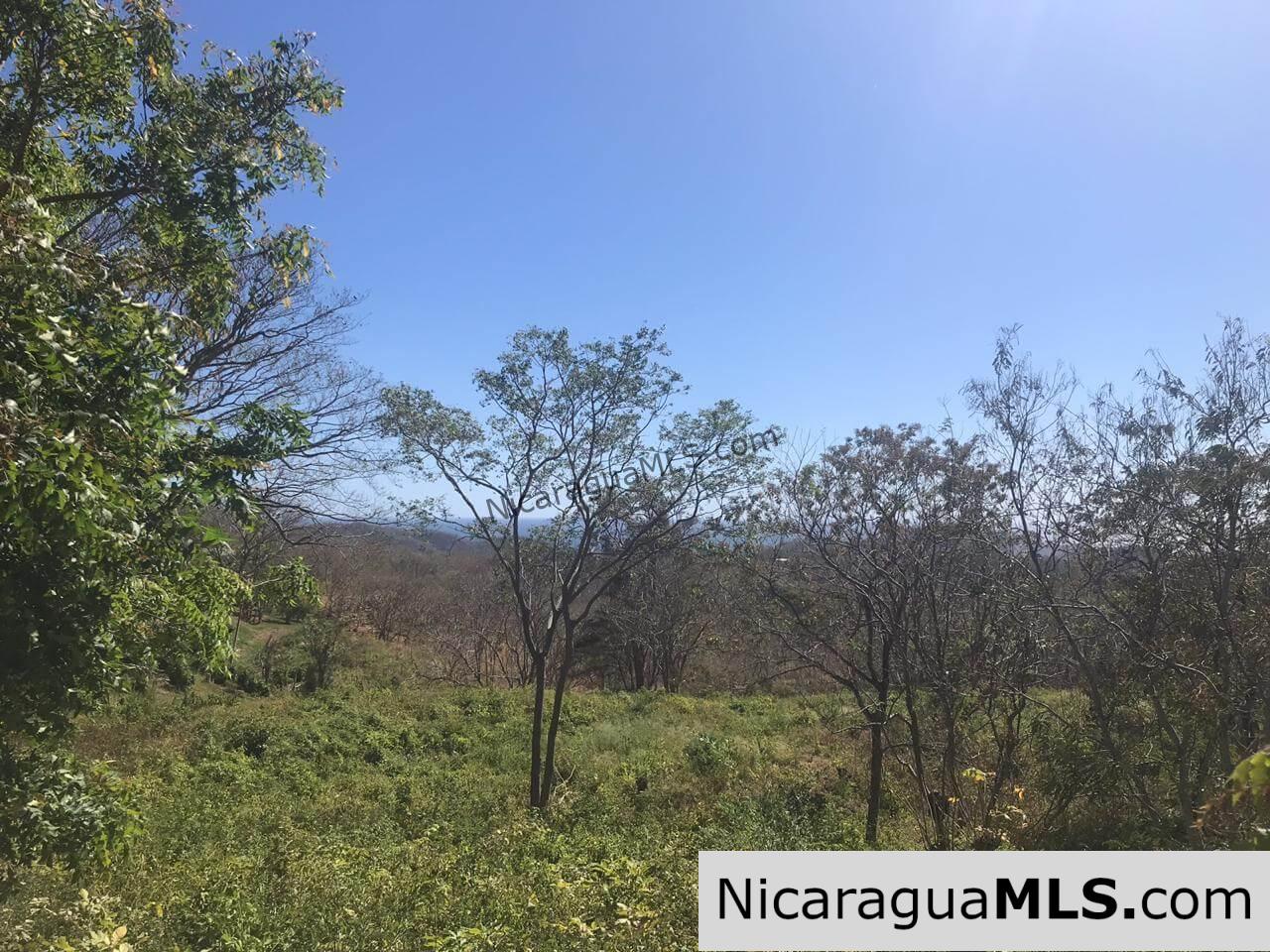 SALE PENDING - 3 Lots for sale in Rancho El Papayal, San Juan del Sur. Panoramic views - Image 4
