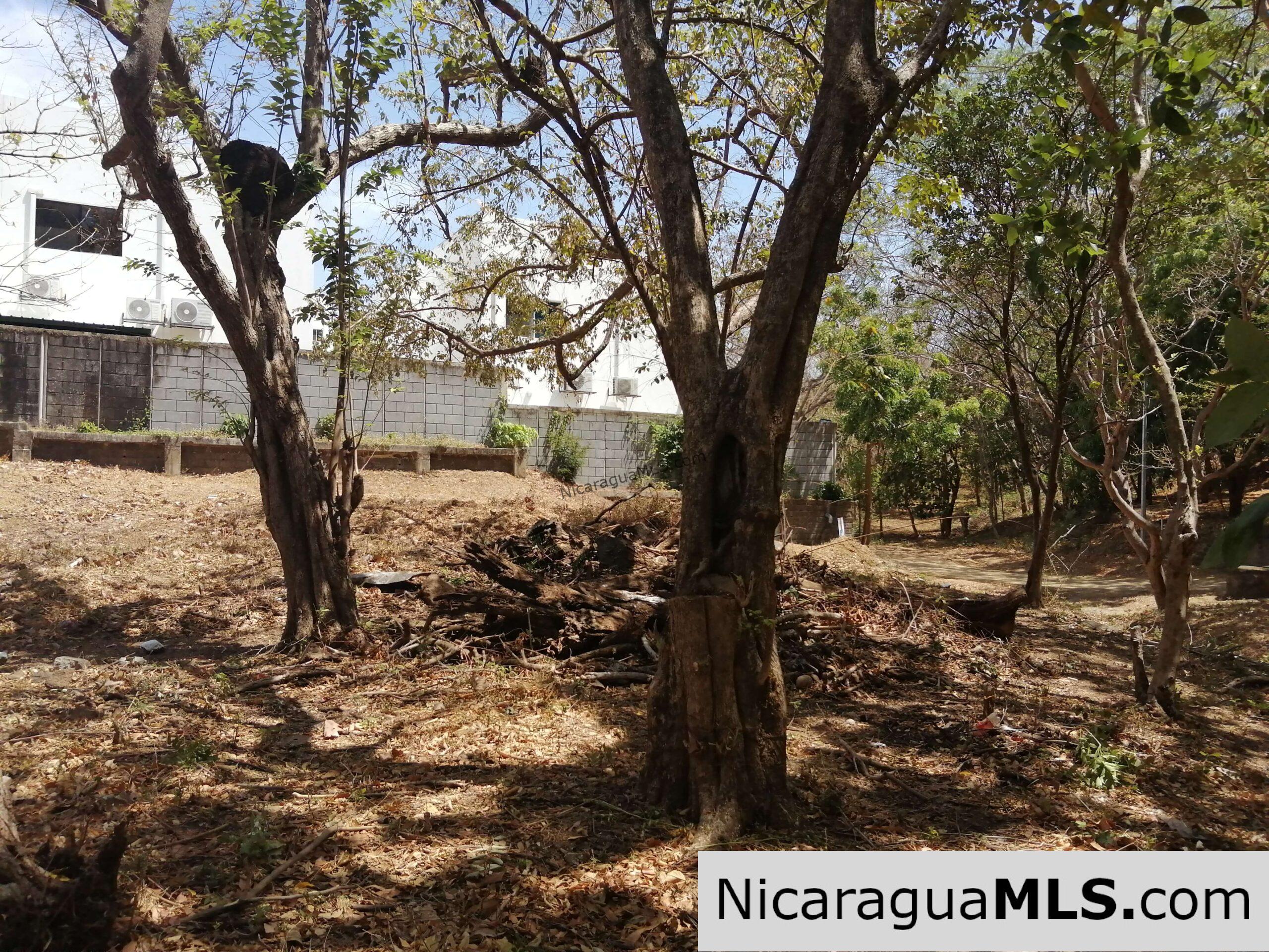 Two lots as one in Colinas del Miramar Development, San Juan del Sur - Image 3