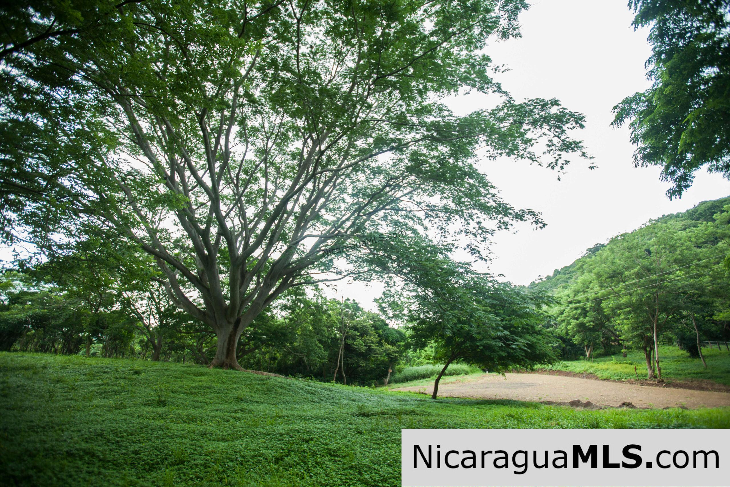 Discounted Lots near Playa Hermosa. - Image 5