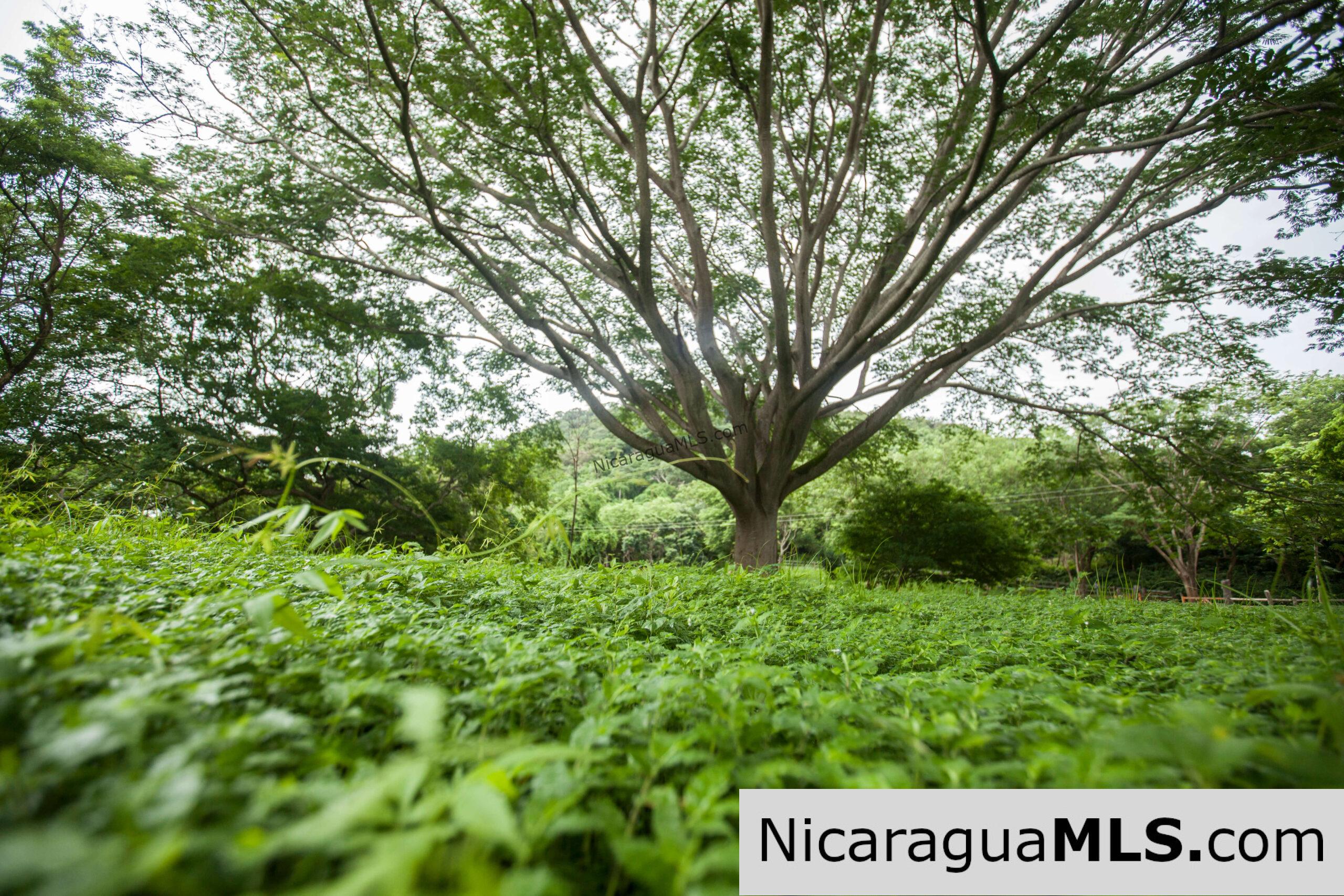 Discounted Lots near Playa Hermosa. - Image 10