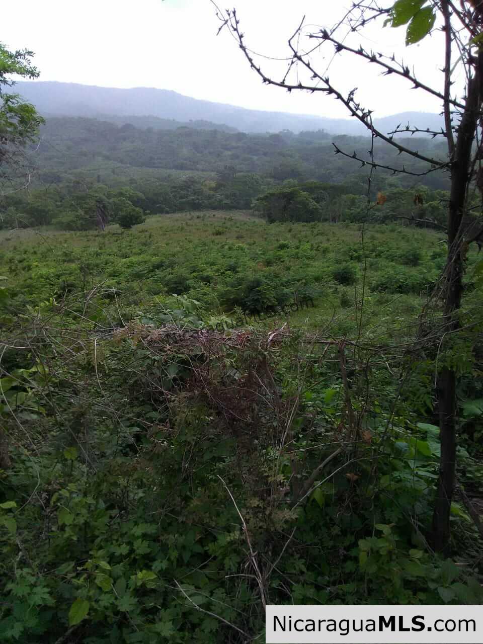 580 acres in el Valle, San Juan del Sur - Image 16