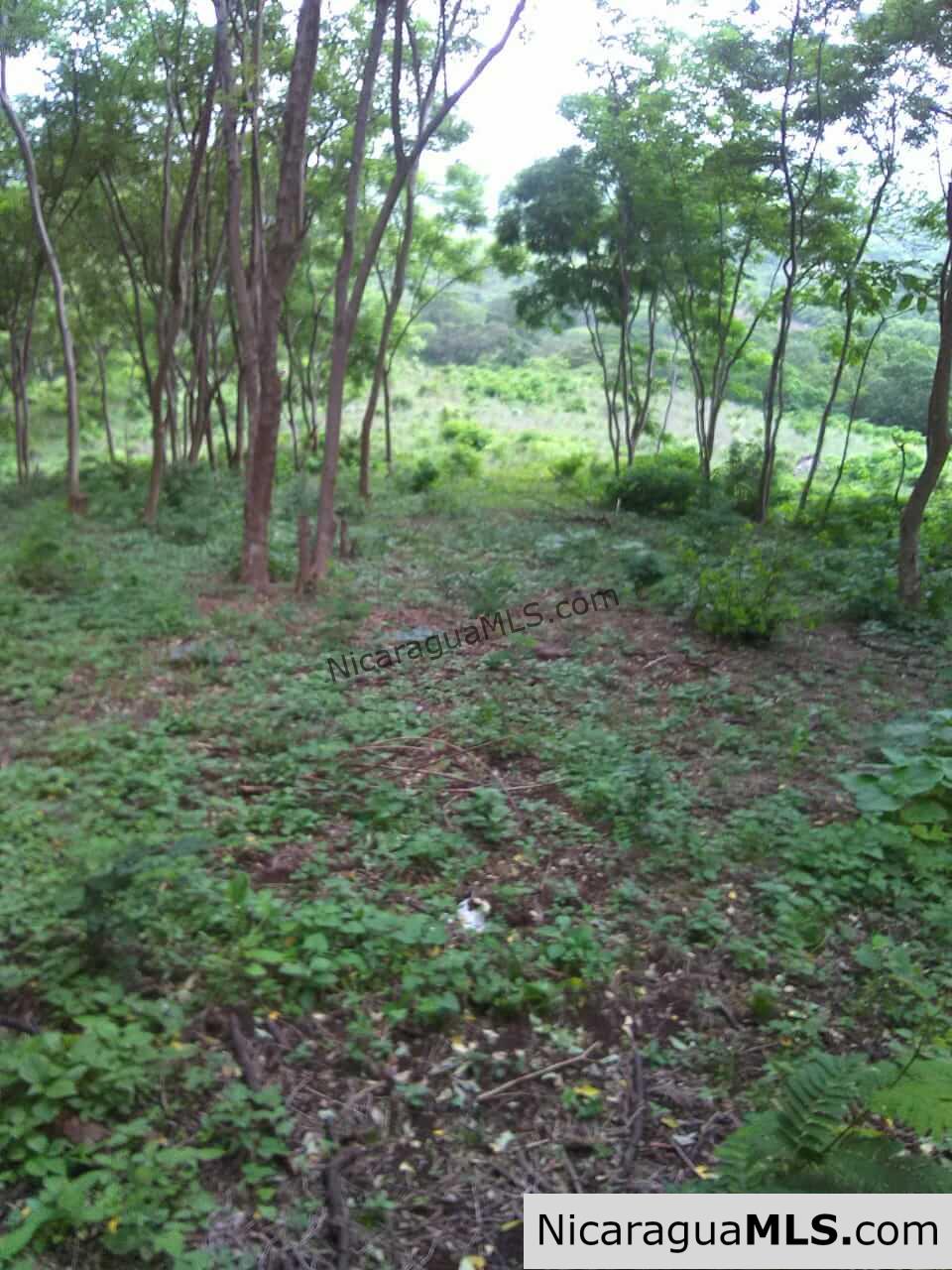 580 acres in el Valle, San Juan del Sur - Image 12