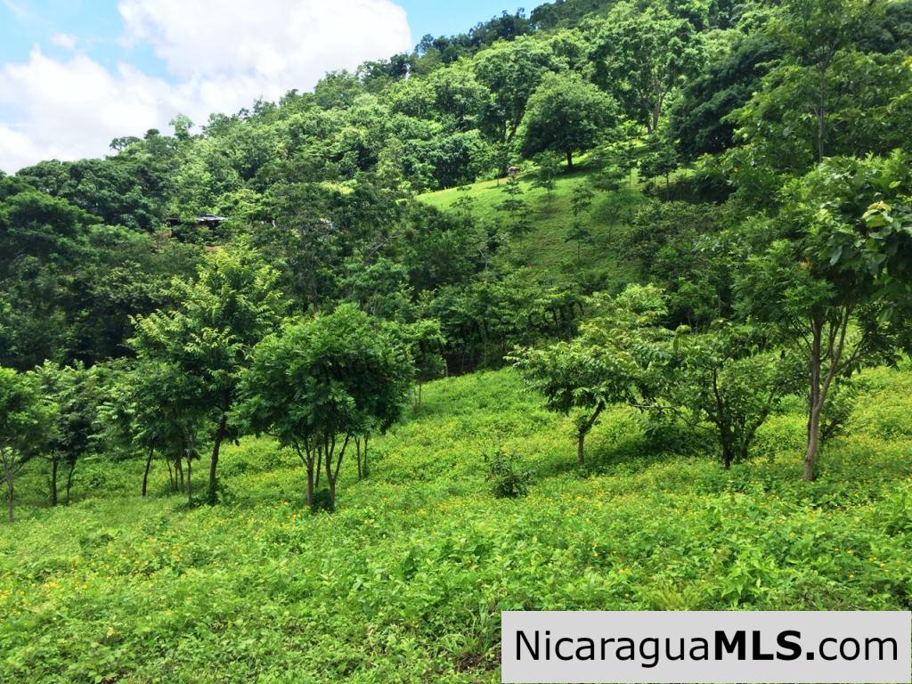 Off Grid Tranquil Paradise Only 20 Minutes North of San Juan del Sur - Image 4
