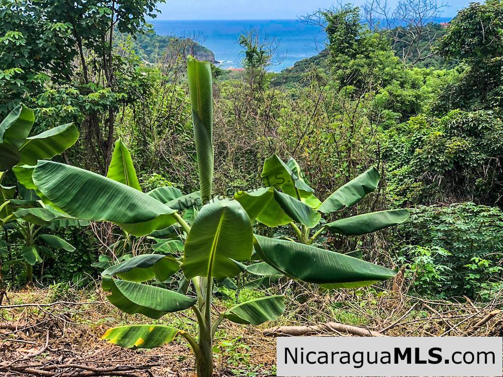 Maderas Ocean View Bargain Views of 4 Bays and Costa Rica - Image 6