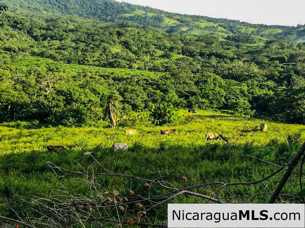 Miravalle Farm for Sale 7km From Town 8 or 18 Manzanas - Image 6