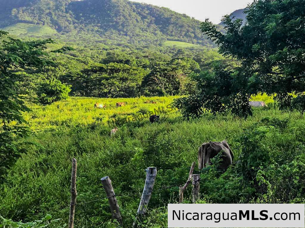 Miravalle Farm for Sale 7km From Town 8 or 18 Manzanas - Image 8