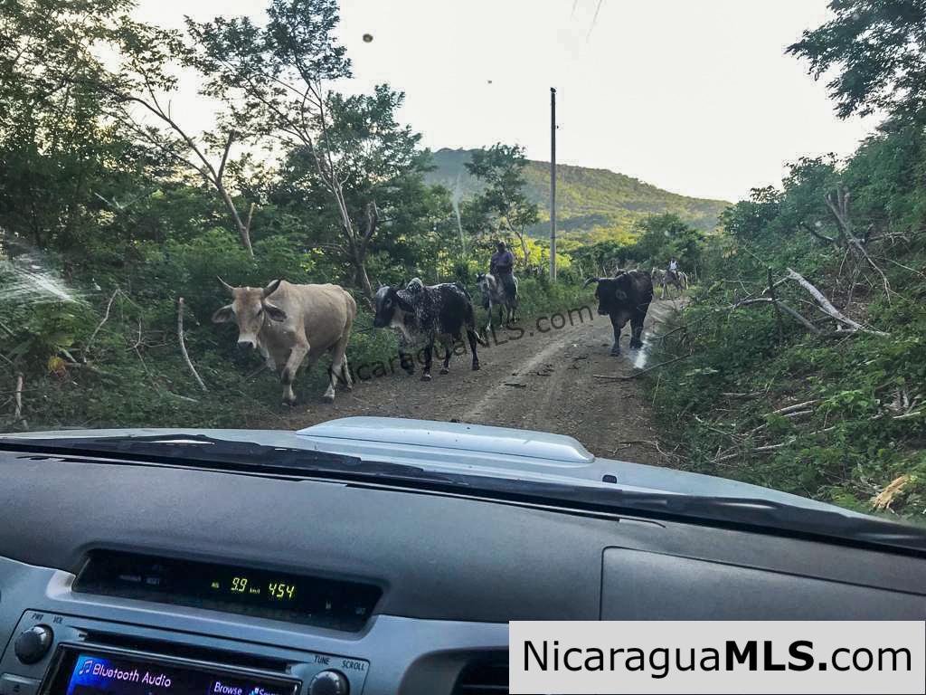 Miravalle Farm for Sale 7km From Town 8 or 18 Manzanas - Image 9