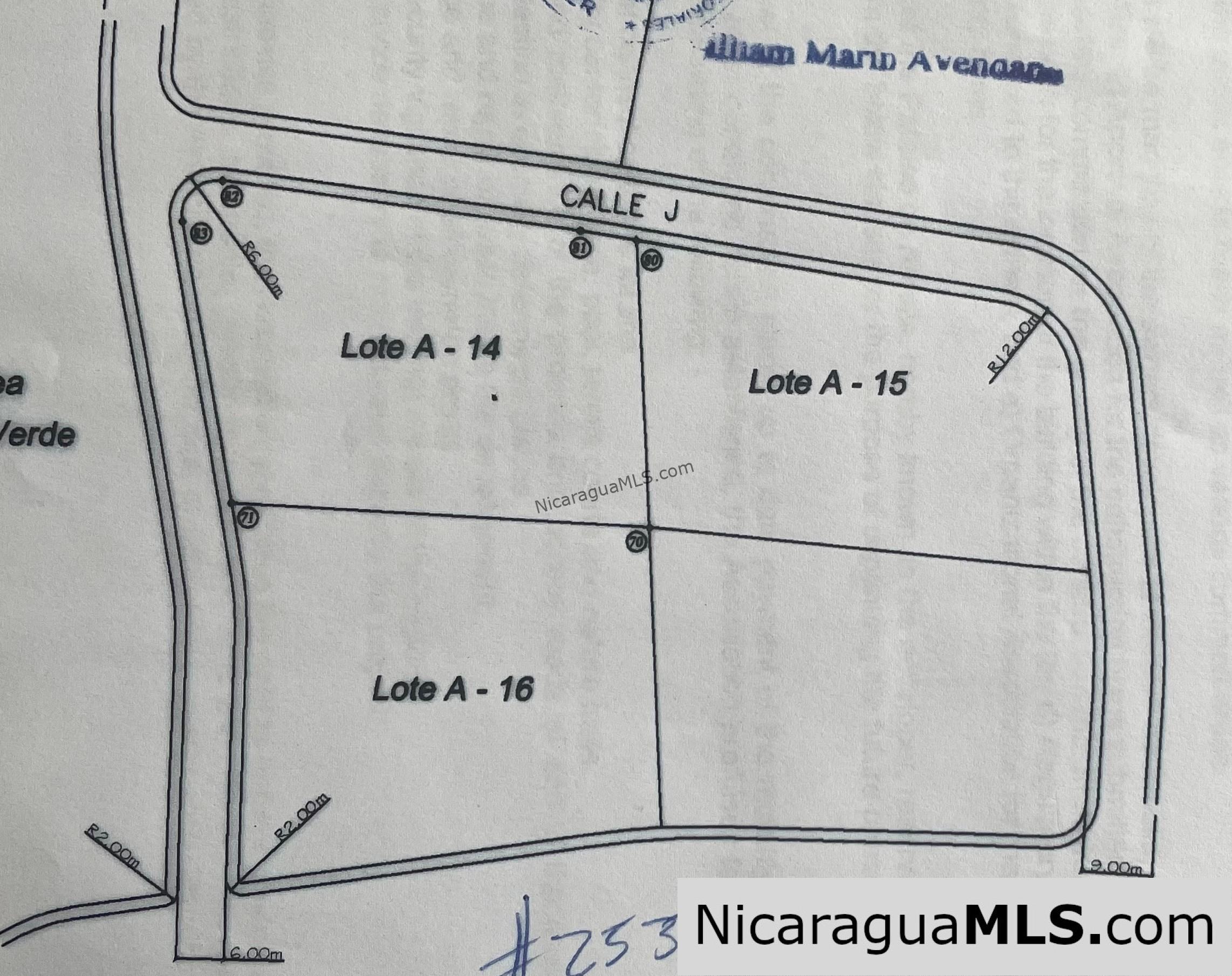 SOLD - Half Acre Lot Luxury Life Development Tree Casa FIRE SALE - Image 12