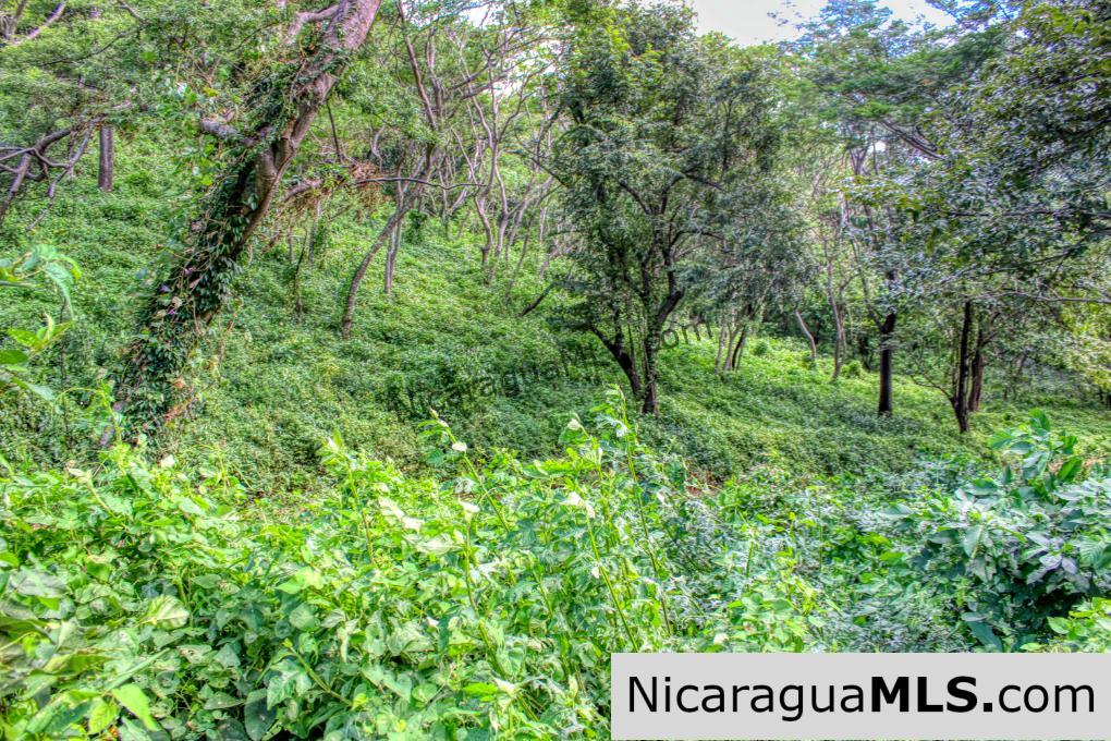 Lot 10 Montemar 5 minutes Walk to Beach in Town - Image 7