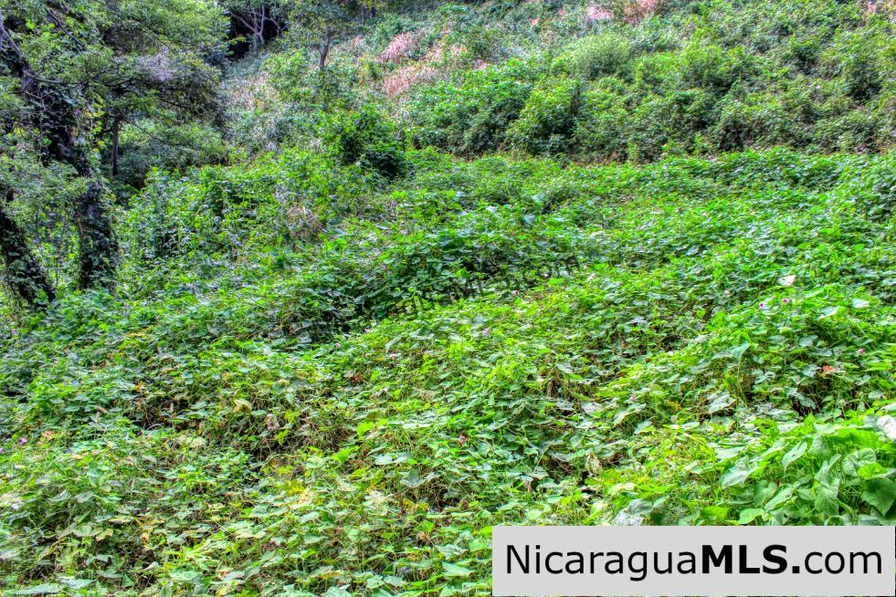 Lot 10 Montemar 5 minutes Walk to Beach in Town - Image 10