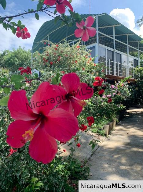 Price Slashed! Eco-Chic Living with Ocean Views in San Juan del Sur