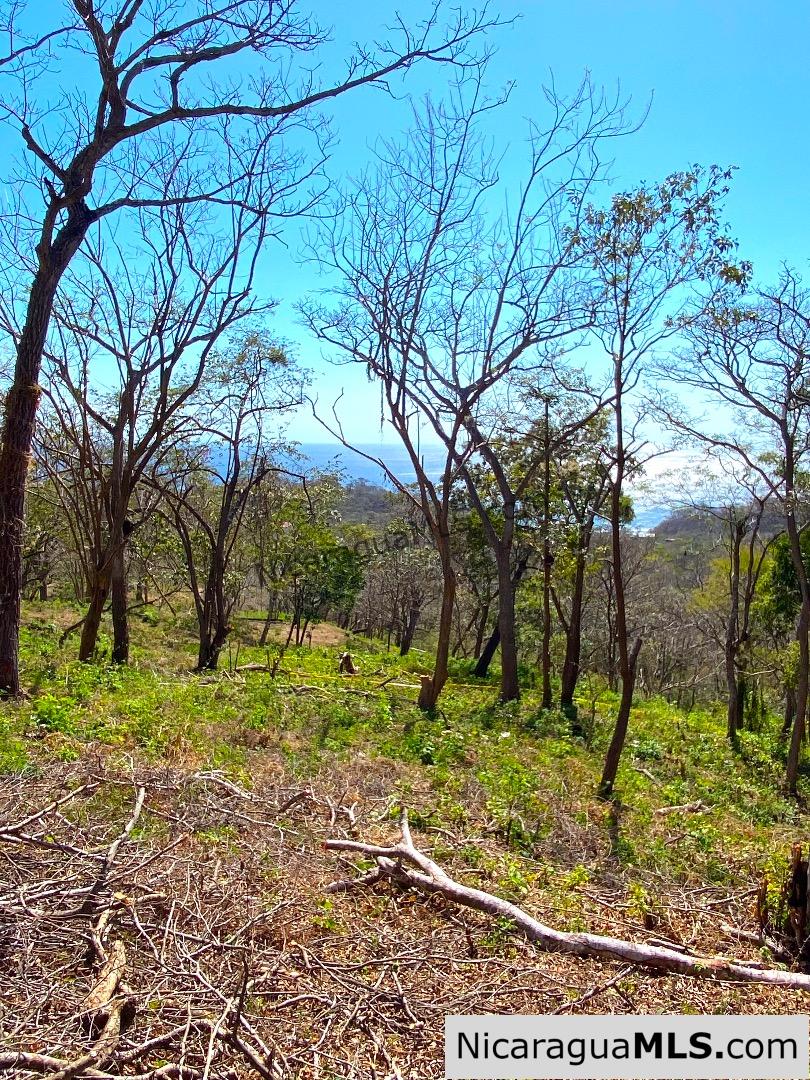 Vista Cinco Bahias lot 10 at Playa Maderas, north of San Juan del Sur - Image 4