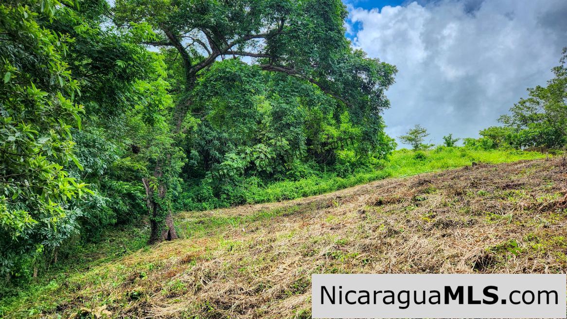 Ocean View Vacant Lot in Villas Oro San Juan del Sur - Image 6