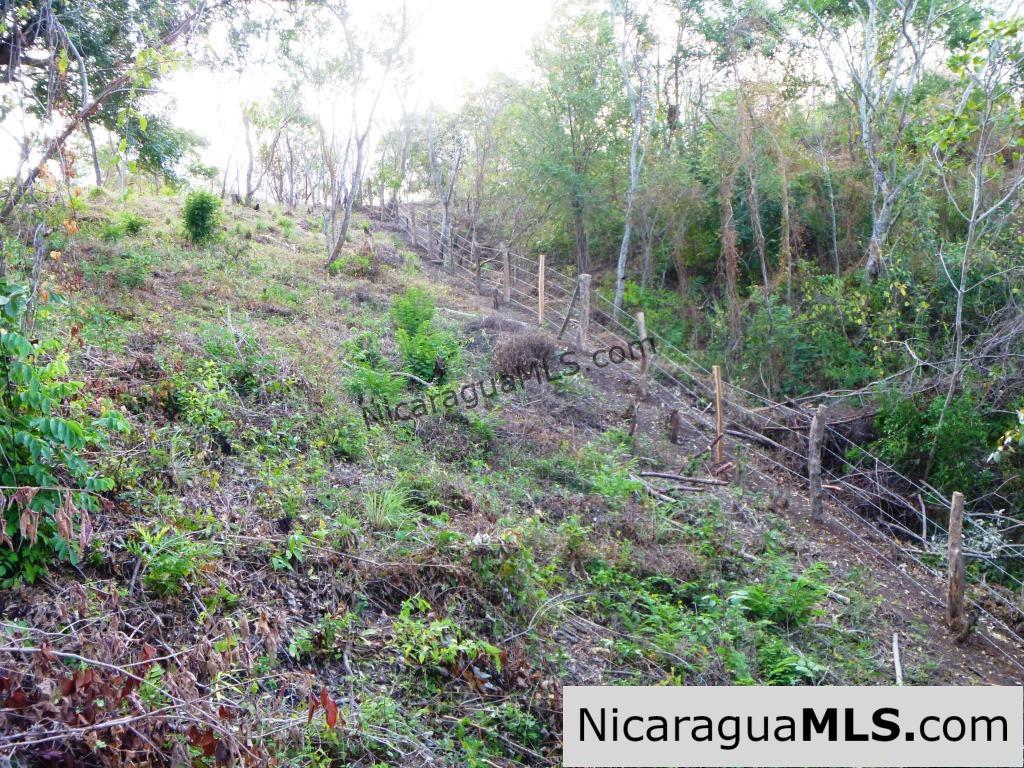 Las Escaleras Lot #2 200 Degree Views from this Hilltop Lot - Image 13