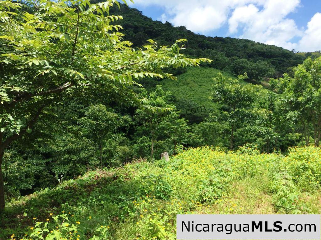 Off Grid Tranquil Paradise Only 20 Minutes North of San Juan del Sur - Image 17