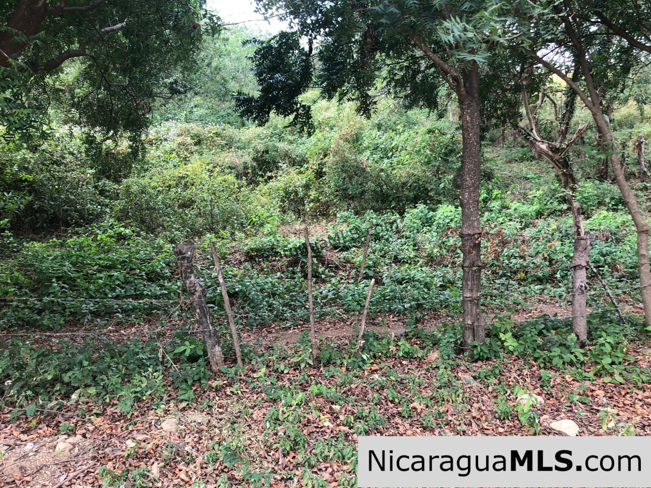 Playa Maderas Bargain 3.1 Acre Property - Image 6