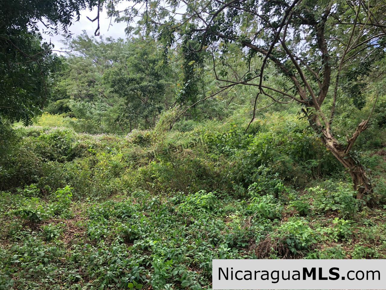 Playa Maderas Bargain 3.1 Acre Property - Image 5
