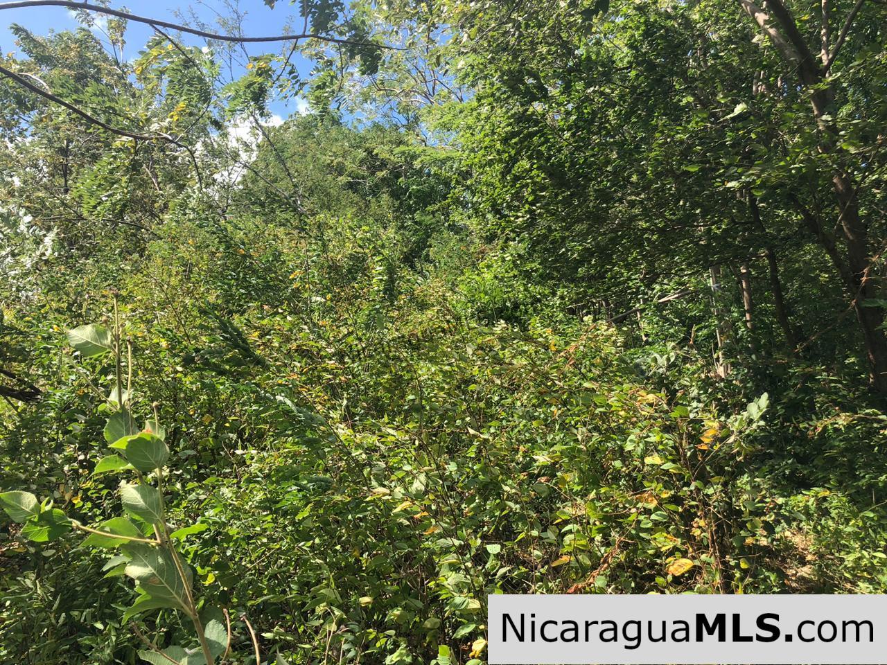 Playa Maderas Bargain 3.1 Acre Property - Image 2