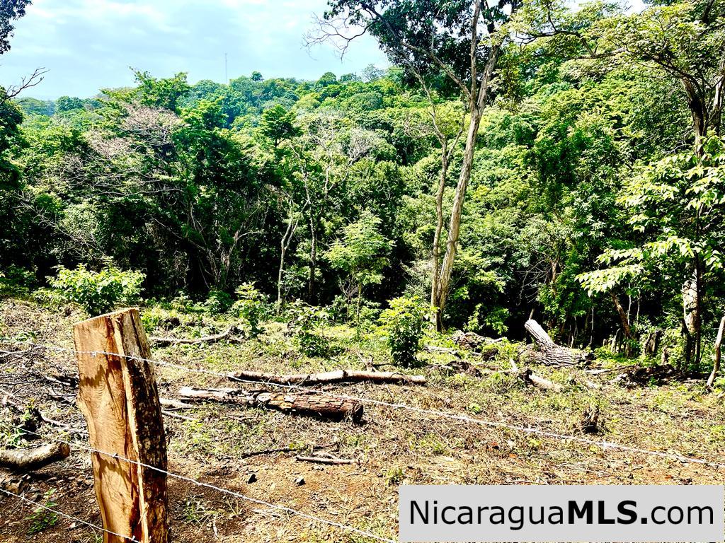 Beautiful lot within walking distance of Playa Maderas - Image 10