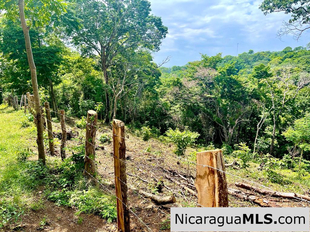 Beautiful lot within walking distance of Playa Maderas - Image 11