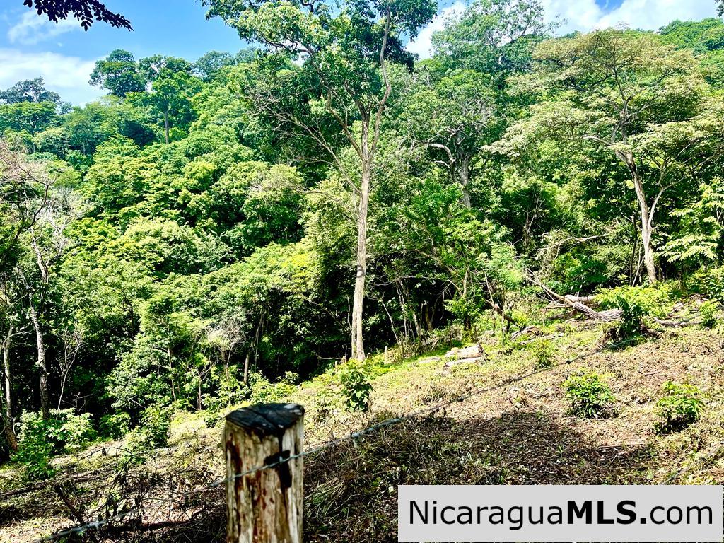 Beautiful lot within walking distance of Playa Maderas - Image 5