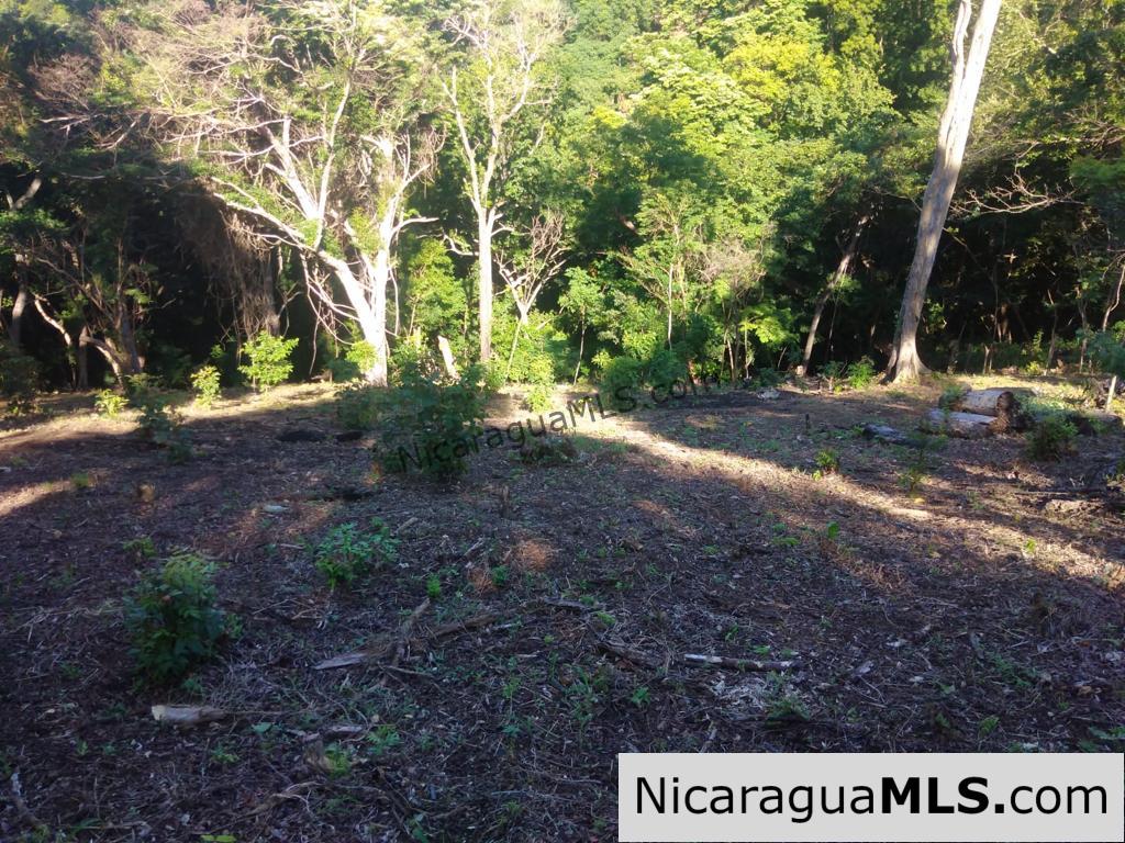 Beautiful lot within walking distance of Playa Maderas - Image 15