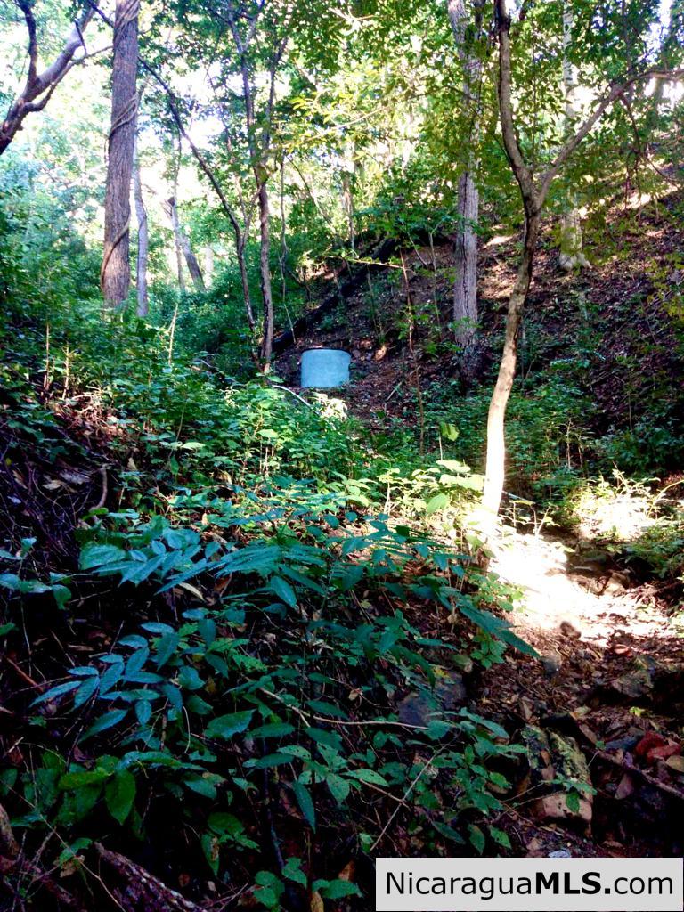 Beautiful lot within walking distance of Playa Maderas - Image 16