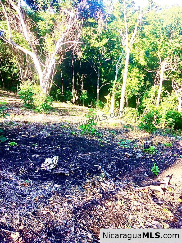 Beautiful lot within walking distance of Playa Maderas - Image 18