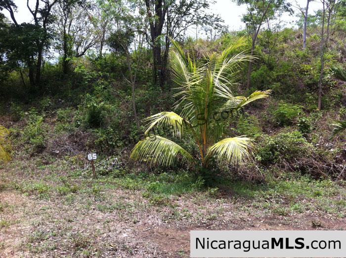 REDUCED! - Rancho Papayal Lots, starting @ $39K - Image 2