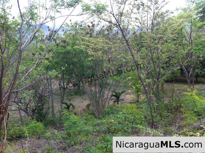 REDUCED! - Rancho Papayal Lots, starting @ $39K - Image 3