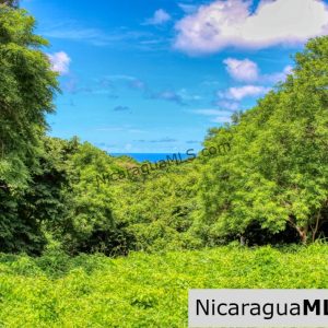 PENDING - Rancho Papayal 1.2 acres Peaceful Ocean and Forest Views