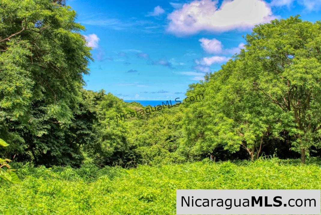 PENDING - Ocean views Rancho Papayal Lot 73 San Juan Del Sur