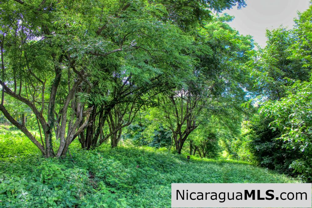 PENDING - Rancho Papayal 1.2 acres Peaceful Ocean and Forest Views - Image 10