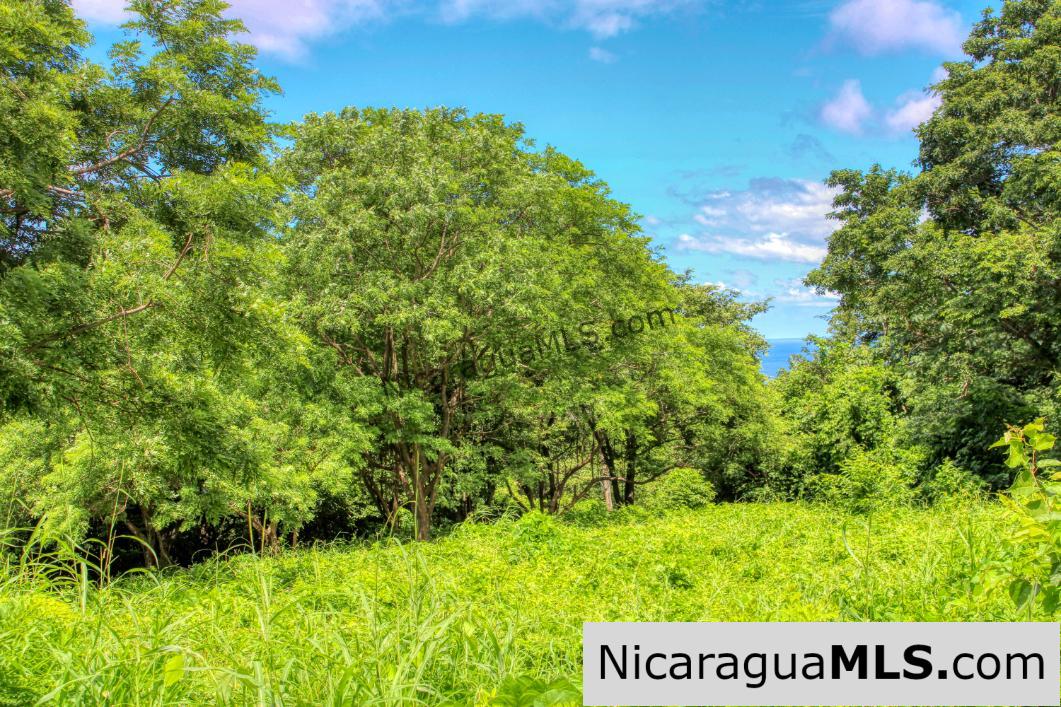 SOLD - Rancho Papayal Lot 74 Beautiful Ocean and Forest Views - Image 3