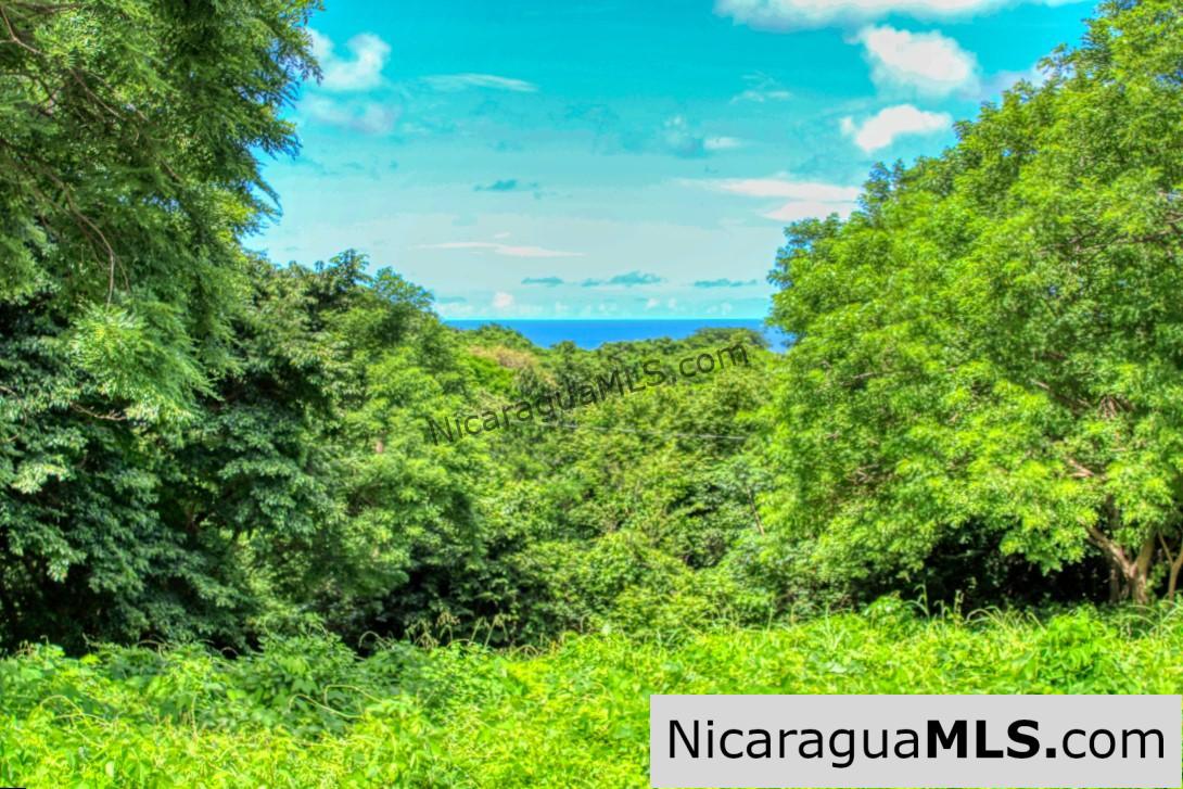 PENDING - Rancho Papayal 1.2 acres Peaceful Ocean and Forest Views - Image 5