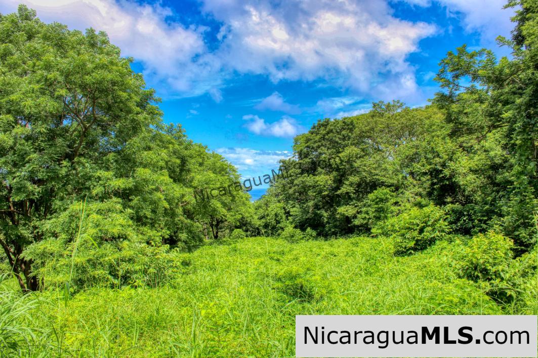 PENDING - Rancho Papayal 1.2 acres Peaceful Ocean and Forest Views - Image 4