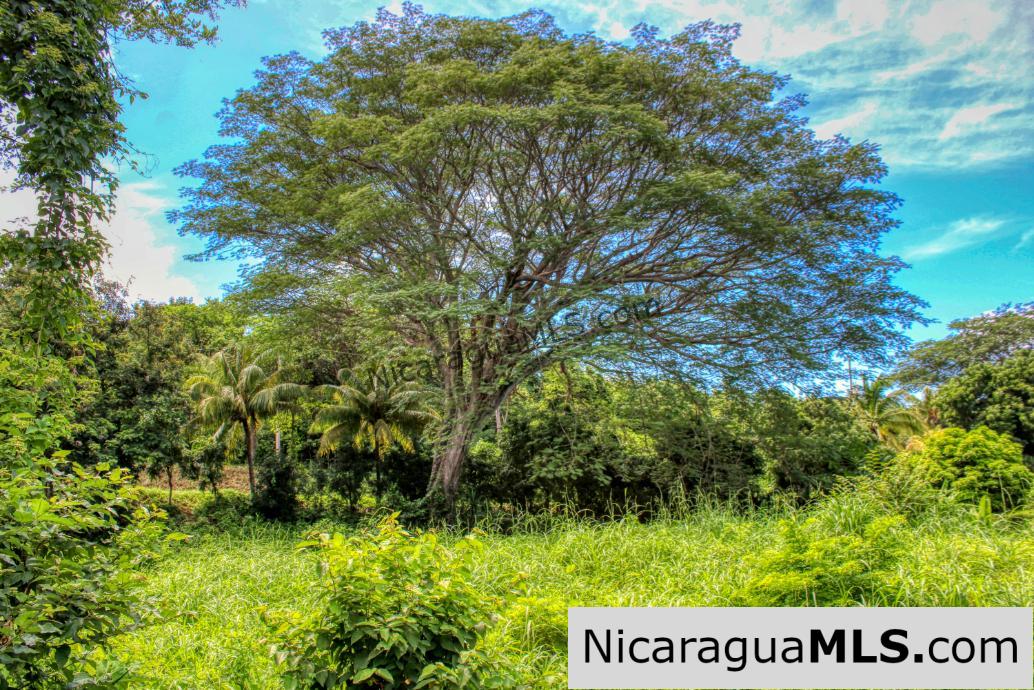 PENDING - Ocean views Rancho Papayal Lot 73 San Juan Del Sur - Image 6