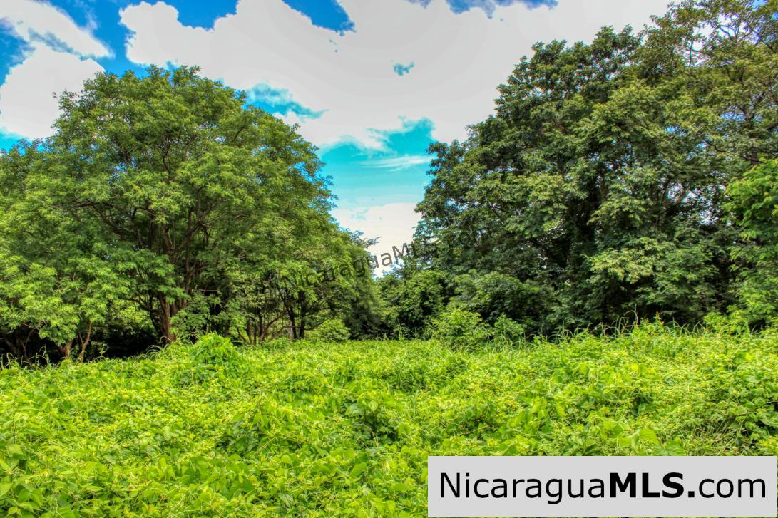 SOLD - Rancho Papayal Lot 74 Beautiful Ocean and Forest Views - Image 7