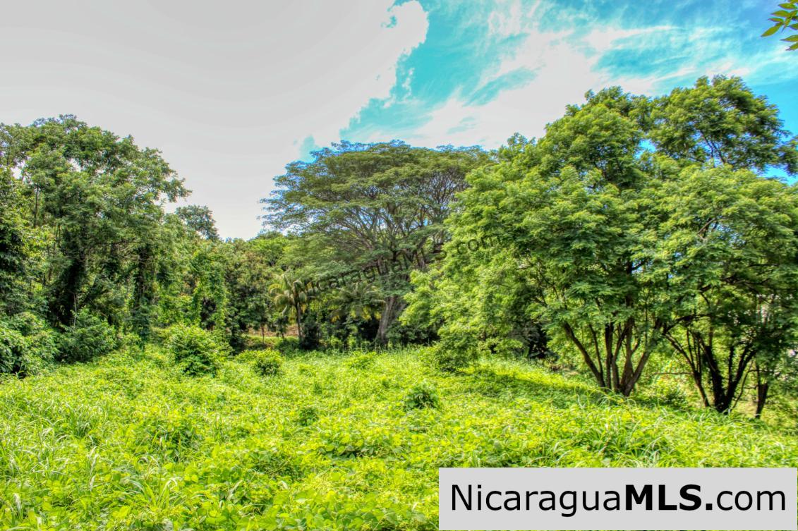 PENDING - Rancho Papayal 1.2 acres Peaceful Ocean and Forest Views - Image 8