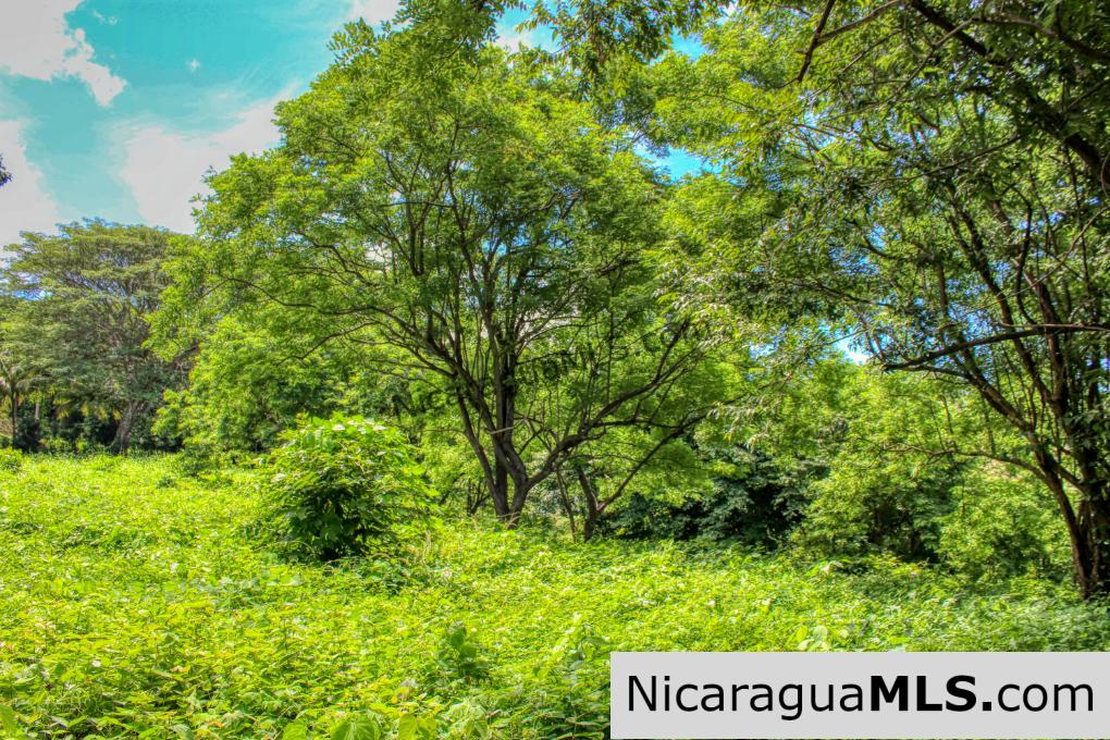 PENDING - Rancho Papayal 1.2 acres Peaceful Ocean and Forest Views - Image 9