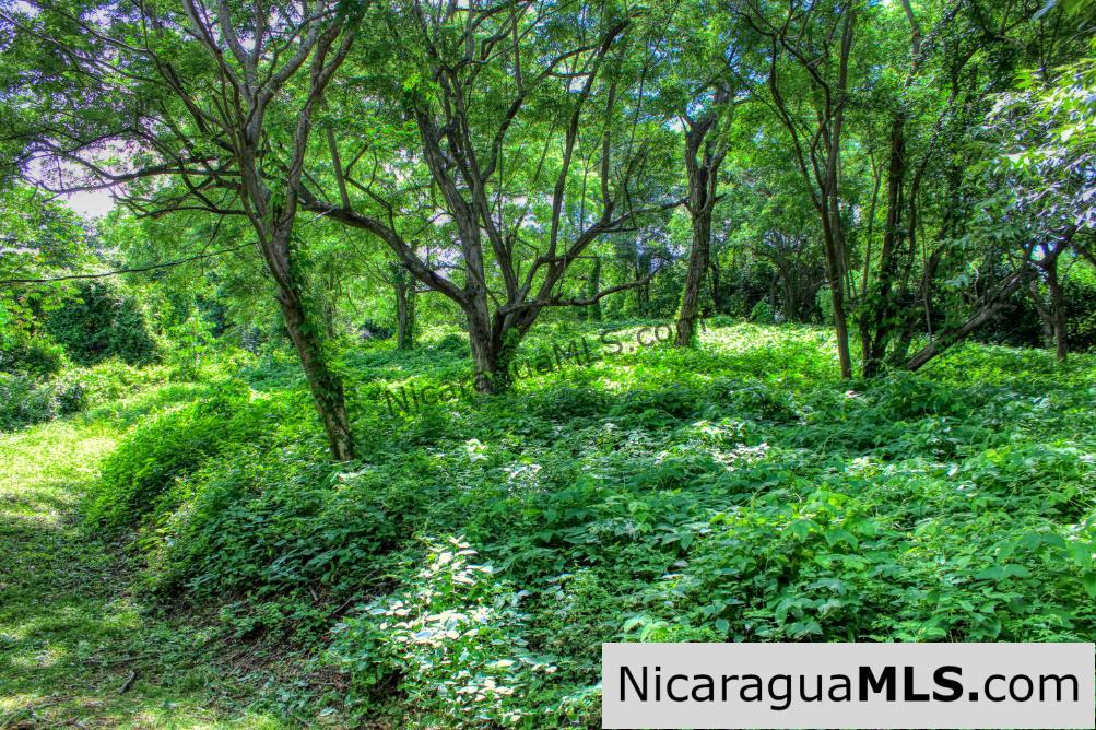 UNDER CONTRACT - Nestled in the trees minutes to beaches Rancho Papayal Lot 79 - Image 2