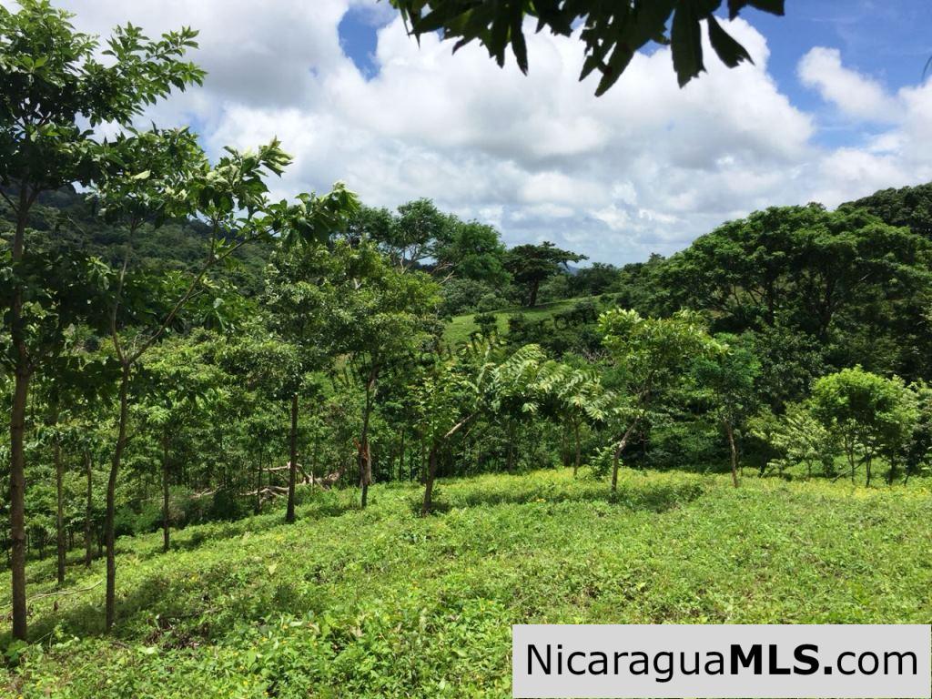 Off Grid Tranquil Paradise Only 20 Minutes North of San Juan del Sur - Image 9