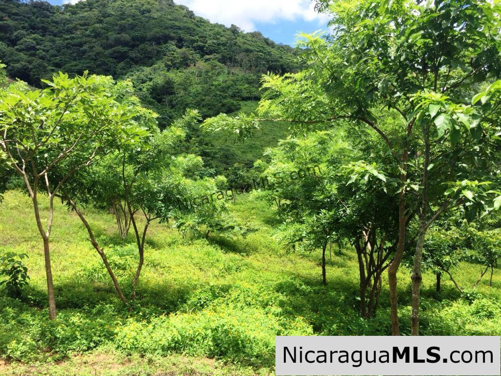 Off Grid Tranquil Paradise Only 20 Minutes North of San Juan del Sur - Image 7