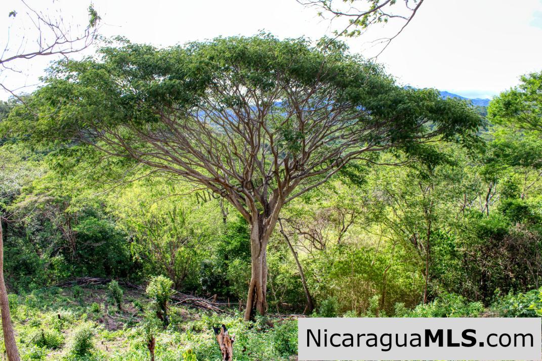7 Acre View Homesite Minutes to San Juan del Sur Town - Image 6
