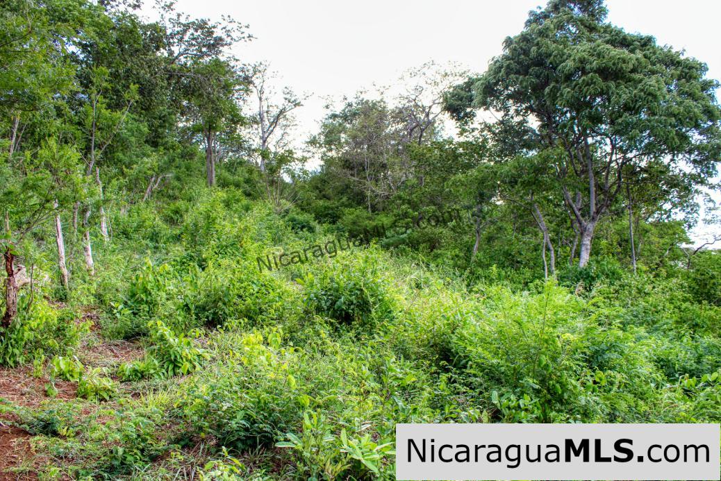 7 Acre View Homesite Minutes to San Juan del Sur Town - Image 8