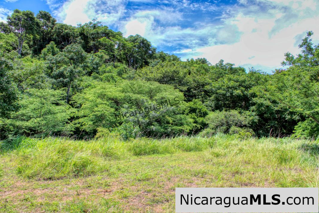 Playa Yankee Triple Ocean View Lot Near One Acre - Image 10