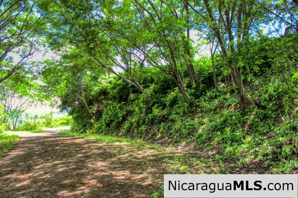Playa Yankee Triple Ocean View Lot Near One Acre - Image 14