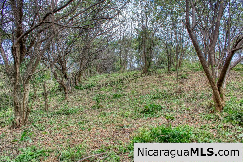 Ocean View with Rolling Acres offers Privacy in Arriba Verde - Image 7