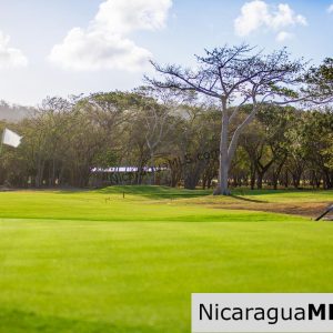 SOLD - Hacienda Iguana Golf Lot