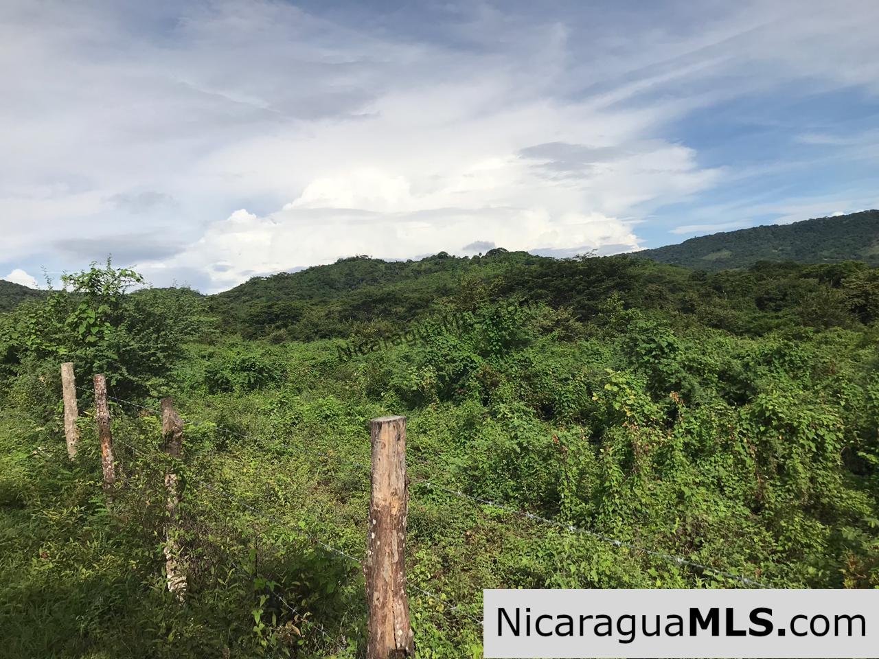 Flat Two Manzana Lot with Great Potential in Las Delicias - Image 6